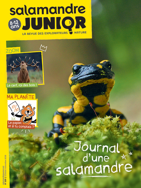 Abonnement Salamandre Junior E Librairie For T Nature Salamandre